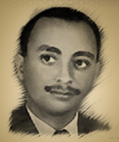 محمد عبد الولي