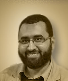 محمود أمين