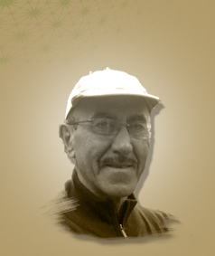 فرياد إبراهيم