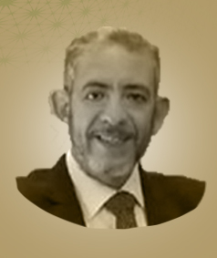 علاء سعد حسن حميده