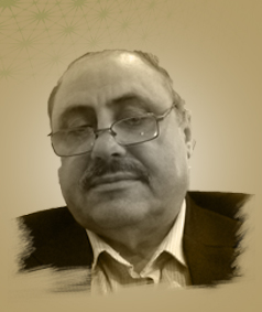 محمد عبد الرحمن يونس