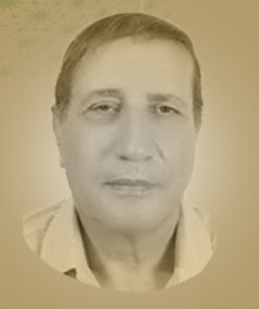 محمد عبد الله محمد الهادي