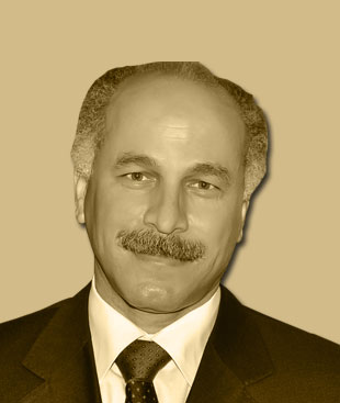 الدكتور مصطفى الضبع